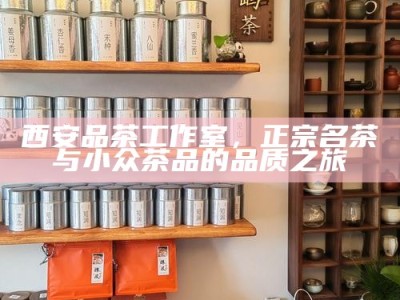 西安品茶工作室，正宗名茶与小众茶品的品质之旅