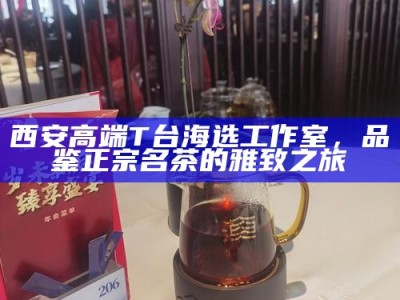 西安高端T台海选工作室，品鉴正宗名茶的雅致之旅