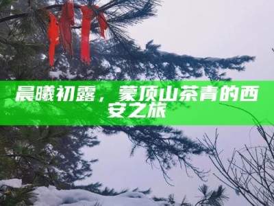 晨曦初露，蒙顶山茶青的西安之旅