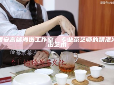 西安高端海选工作室，专业茶艺师的精湛冲泡艺术