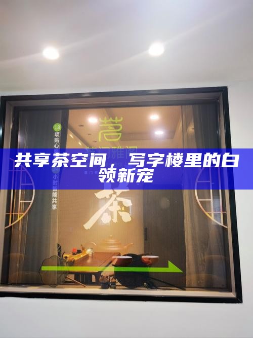 共享茶空间，写字楼里的白领新宠