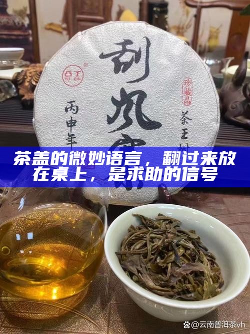 茶盖的微妙语言，翻过来放在桌上，是求助的信号