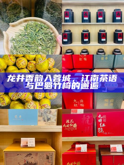 龙井香韵入蓉城，江南茶语与巴蜀竹椅的邂逅