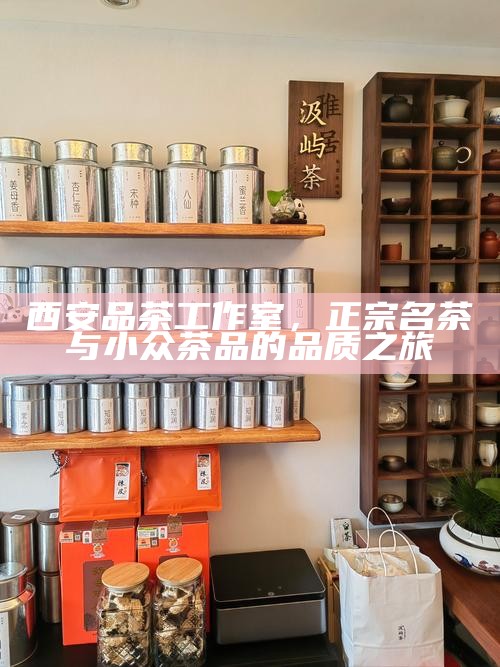 西安品茶工作室，正宗名茶与小众茶品的品质之旅